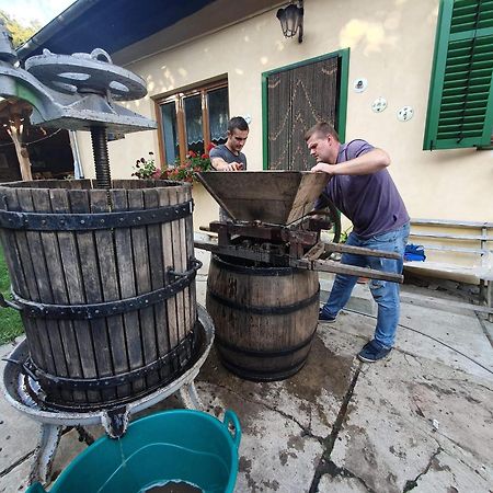Villa Rihuini Eco Wine House Transylvania Richisu Exterior foto